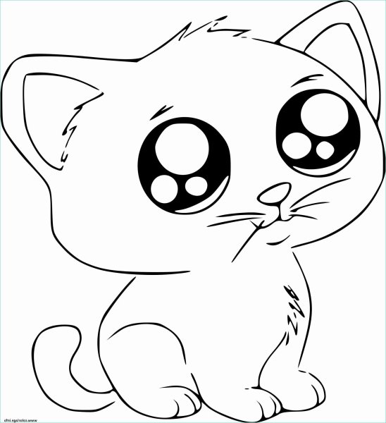 Котенок. Раскраска