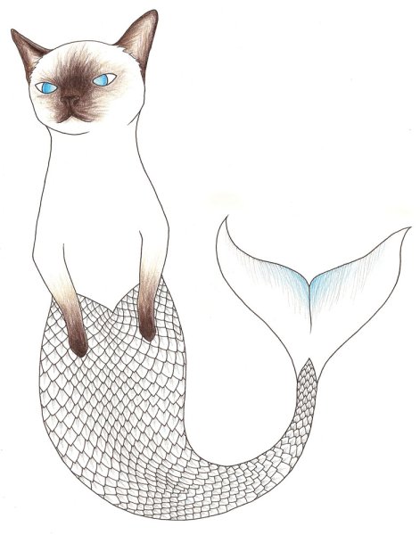 Кот Русалка