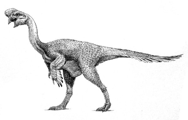 Раскраски овираптор динозавр (43 фото)