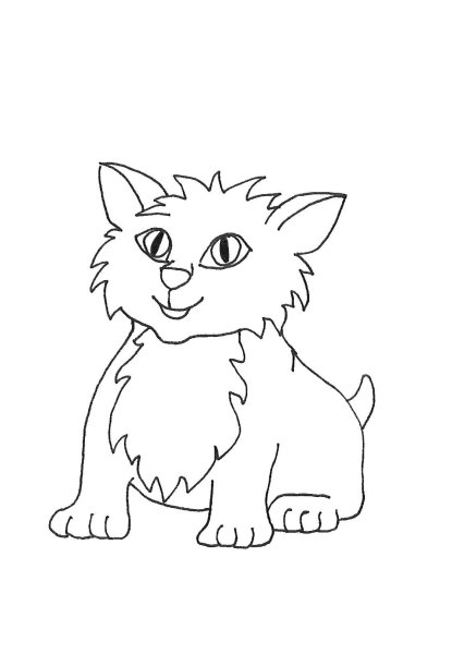 Раскраска кот