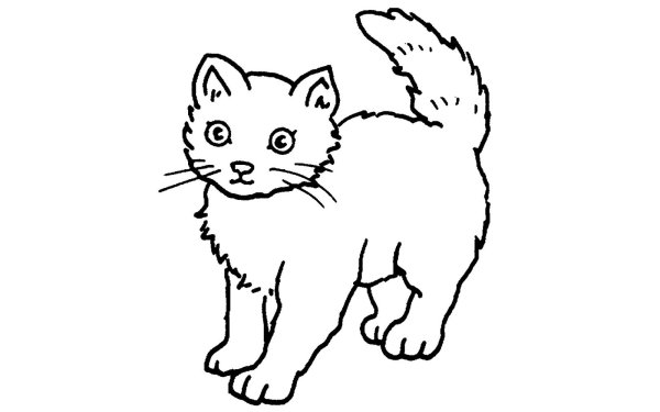 Кошки. Раскраска