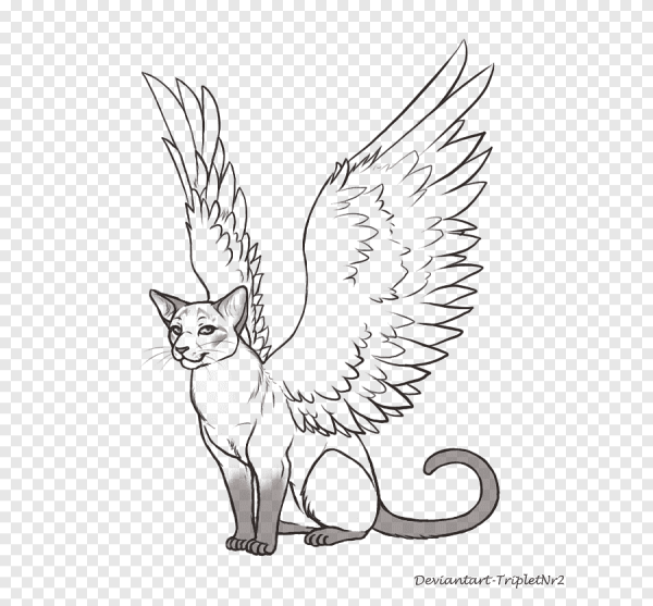 Раскраски котенок с крылышками (45 фото)
