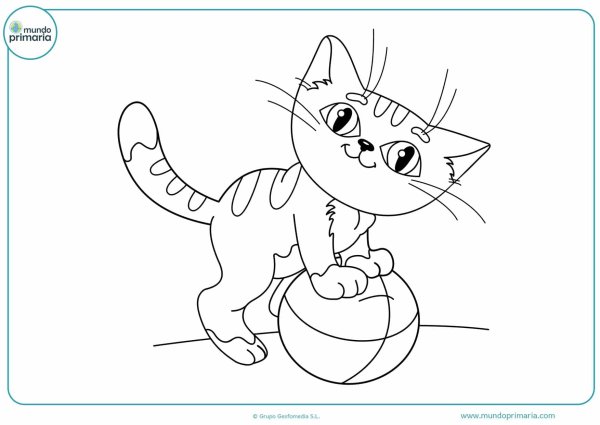 Раскраска котик с мячиком