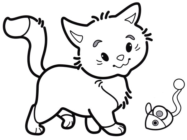 Котенок раскраска для детей