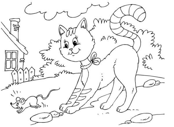 Кошка раскраска для детей