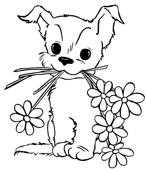 Раскраска кот