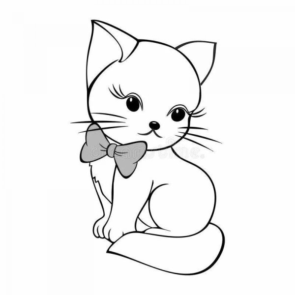 Котик раскраска для детей