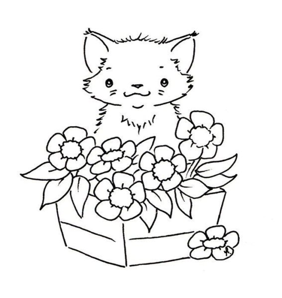 Раскраска кошечка