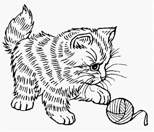 Раскраски котенок с поднятыми лапками (45 фото)