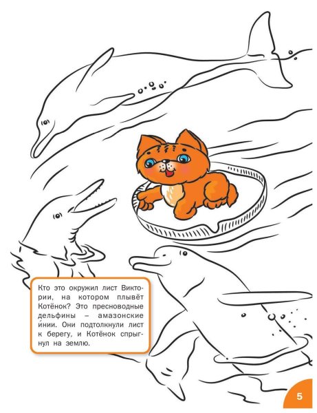 Раскраска оранжевый котенок