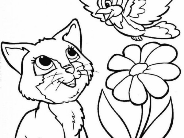 Котенок. Раскраска
