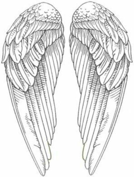 Раскраски орнамент крылья птицы (48 фото)
