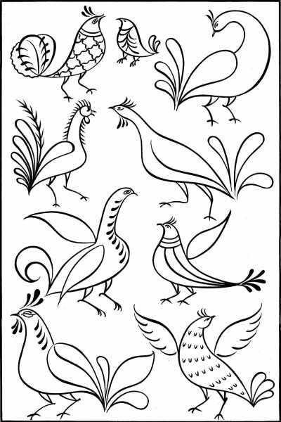 Раскраски орнамент птицы (47 фото)