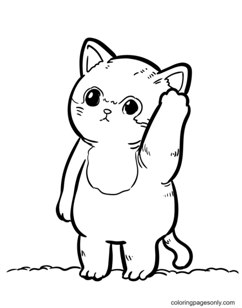 Раскраска кот