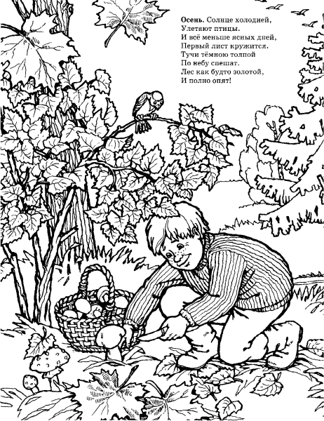 Стихи про осень раскраска