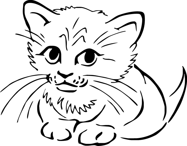 Раскраска кот