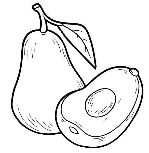 Разукрашку авокадо