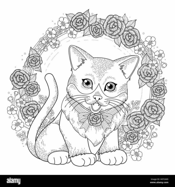 Раскраска новогодний котик
