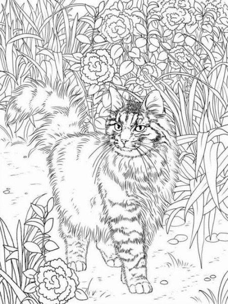 Мандала котик