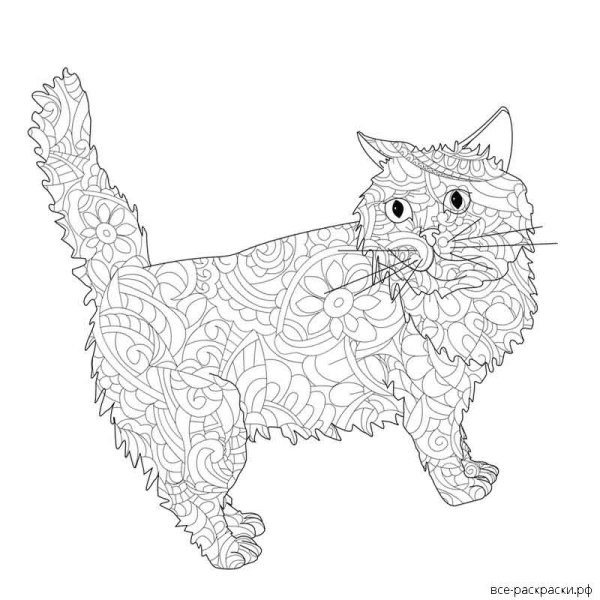 Раскраска Барсика