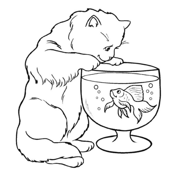 Раскрасить кота с рыбой копилки