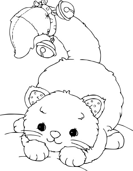 Раскраска кот Басик