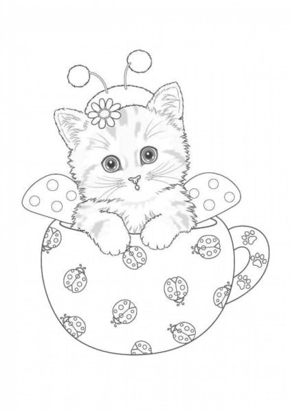 Кавайный котик раскраска