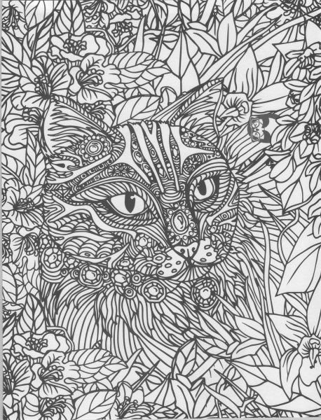 Раскраска кошка сложная