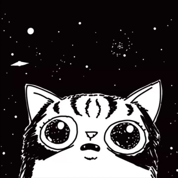 Кавайные котики космос