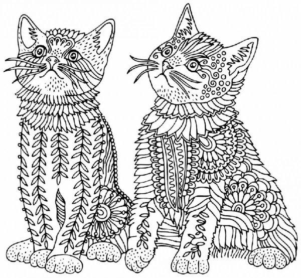 Раскраски очень сложные котята (50 фото)