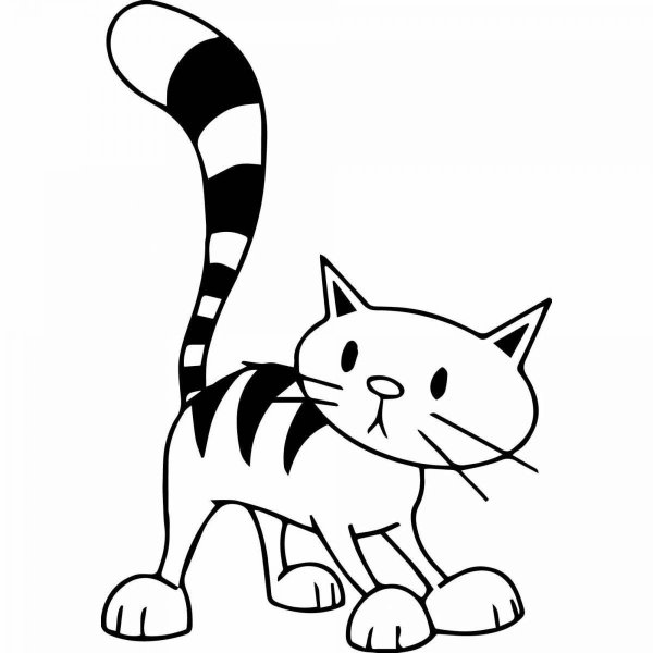Кот черно белый рисунок