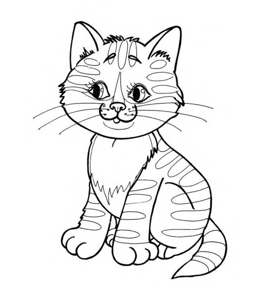 Котенок. Раскраска