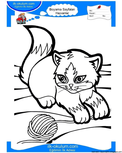 Пушистые котята. Раскраска