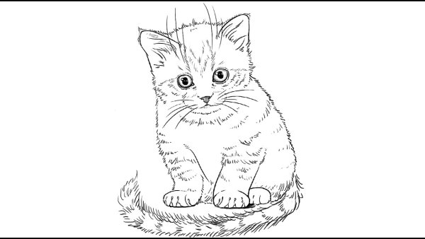 Маленький котенок рисунок