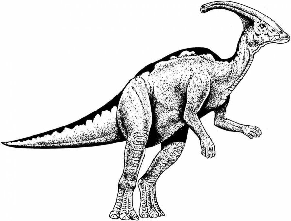 Jurassic Park Parasaurolophus
