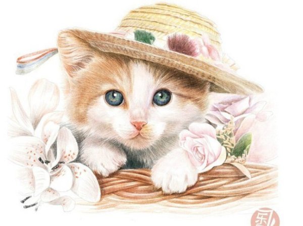 The Cat in the hat раскраска
