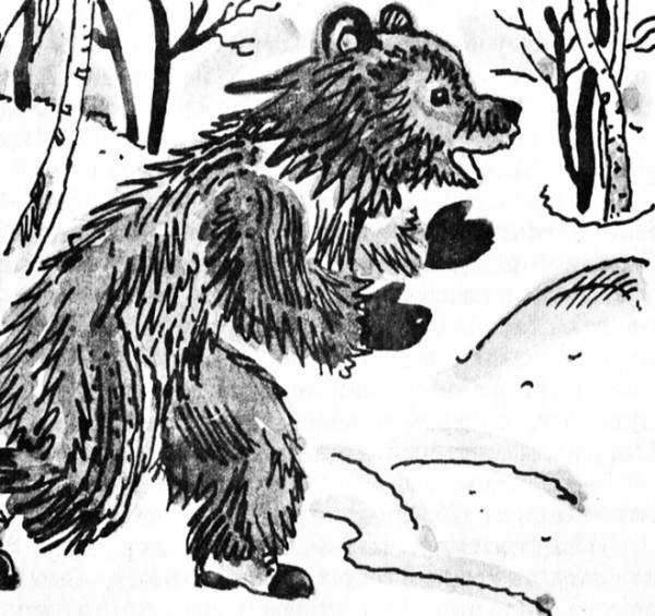 Раскраски паустовский дремучий медведь (50 фото)
