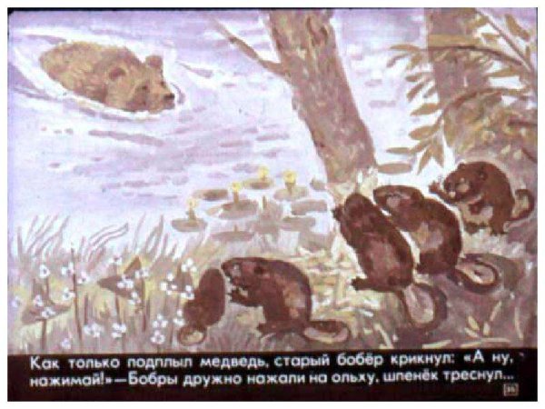 Дремучий медведь Паустовский рисунок
