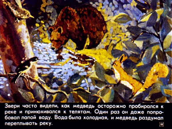 Рассказ Паустовского дремучий медведь