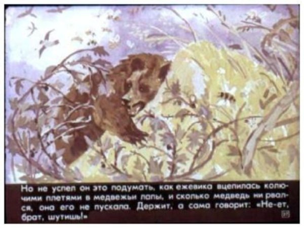 Дремучий медведь презентация