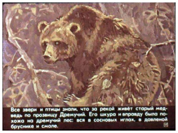Паустовский дремучий медведь