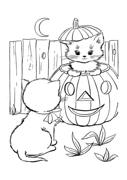 Кошка на Хэллоуин раскраска