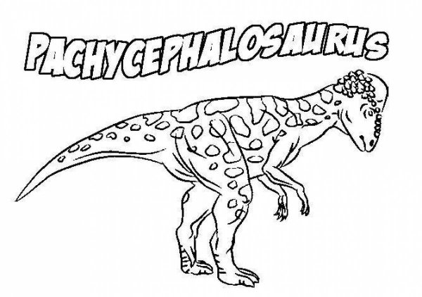 Раскраски пахицефалозавр динозавр (44 фото)