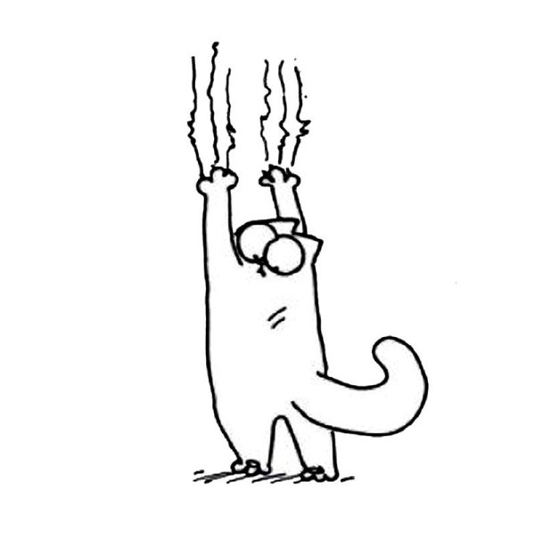 Кот царапает