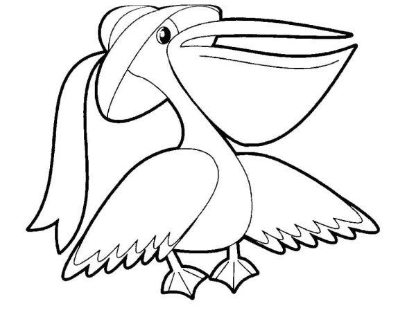 Птицы. Раскраска