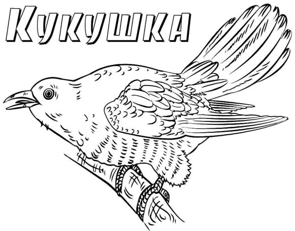 Раскраска "перелетные птицы"