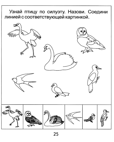 Задания для детей перелетные и зимующие птицы