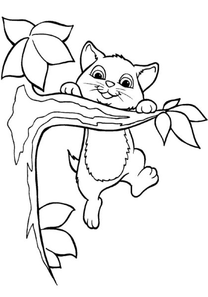 Кошки. Раскраска