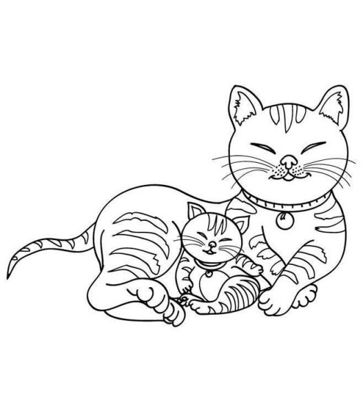 Котята с мамой раскраска