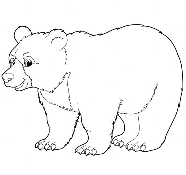 Раскраски пермский медведь (45 фото)